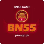 BN 55 Game
