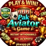 PAK AVIATOR GAME (1)
