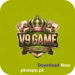 9V Game