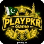 PlayPkr Game
