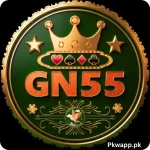 GN 55 Game
