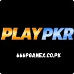 PlayPkr Game