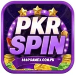 PKR Spin Game